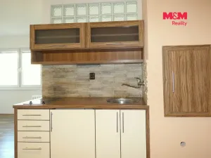 Pronájem bytu 1+kk, Ostrava - Moravská Ostrava, Petra Křičky, 30 m2