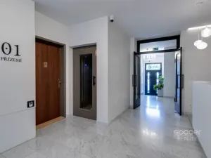 Pronájem bytu 1+kk, Praha - Vinohrady, Vinohradská, 36 m2