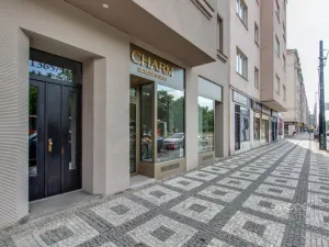 Pronájem bytu 1+kk, Praha - Vinohrady, Vinohradská, 36 m2