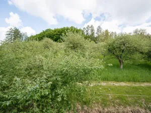 Prodej chalupy, Mnichovice, 364 m2