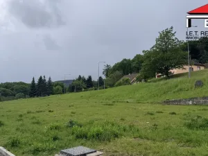 Prodej bytu 2+1, Litvínov - Janov, Třebušická, 40 m2
