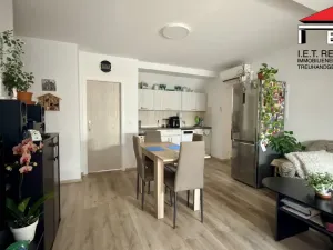 Prodej rodinného domu, Veselí nad Lužnicí, Malé náměstí, 303 m2