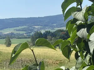 Prodej zemědělské usedlosti, Křemže, 1123 m2