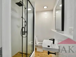 Pronájem bytu 1+1, Telč - Telč-Staré Město, Radkovská, 33 m2