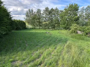 Prodej rodinného domu, Damníkov, 180 m2