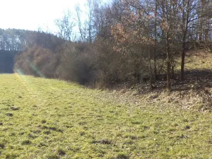 Prodej pole, Snědovice - Sukorady, 5161 m2