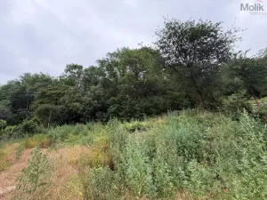 Prodej rodinného domu, Lužice - Svinčice, 224 m2