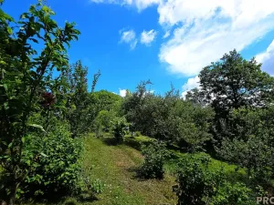 Prodej chaty, Osvětimany, 50 m2