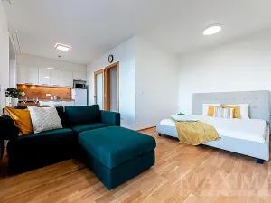 Prodej bytu 1+kk, Praha - Holešovice, Argentinská, 53 m2