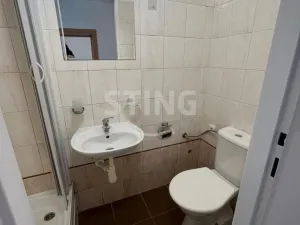 Pronájem bytu 1+1, Ostrava, Podzámčí, 38 m2