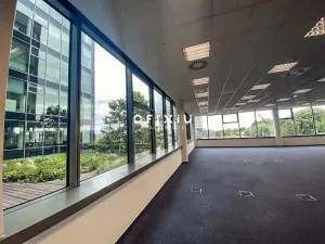 Pronájem kanceláře, Brno - Bohunice, Netroufalky, 500 m2