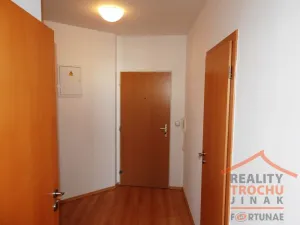 Pronájem bytu 1+kk, Hradec Králové, Palachova, 36 m2
