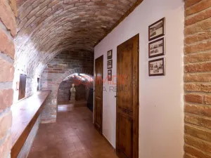 Prodej vinného sklepa, Bořetice, 120 m2