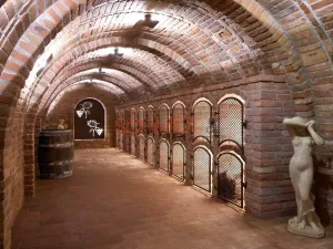 Prodej vinného sklepa, Bořetice, 120 m2