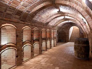 Prodej vinného sklepa, Bořetice, 120 m2
