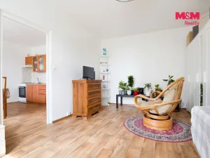 Prodej bytu 1+1, Chomutov, 17. listopadu, 36 m2