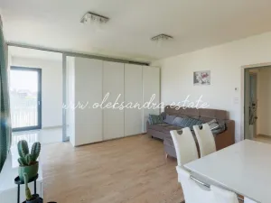 Pronájem bytu 2+kk, Praha - Žižkov, Olšanská, 61 m2