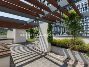 Pronájem bytu 2+kk, Praha - Žižkov, Olšanská, 61 m2