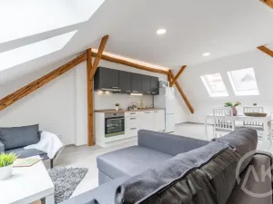 Pronájem bytu 1+kk, Ostrava - Vítkovice, Erbenova, 45 m2