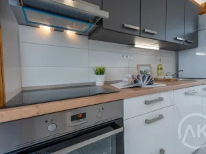 Pronájem bytu 1+kk, Ostrava - Vítkovice, Erbenova, 45 m2