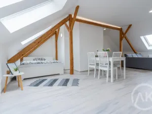 Pronájem bytu 1+kk, Ostrava - Vítkovice, Erbenova, 45 m2