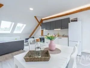 Pronájem bytu 1+kk, Ostrava - Vítkovice, Erbenova, 45 m2