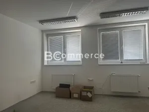 Pronájem kanceláře, Brno, 173 m2