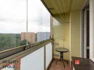 Pronájem bytu 1+kk, Ostrava - Výškovice, Výškovická, 27 m2