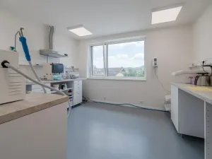 Prodej vícegeneračního domu, Trubín, Za Úvozem, 324 m2