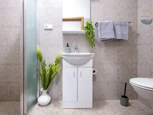Pronájem zemědělské usedlosti, Kakejcov, 545 m2
