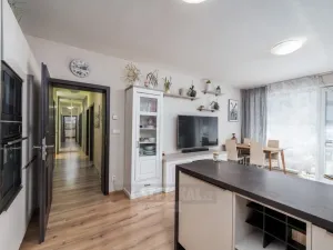 Prodej bytu 3+kk, Včelná, Pod Tratí, 136 m2