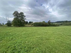 Dražba pozemku pro bydlení, Černá v Pošumaví, 4978 m2