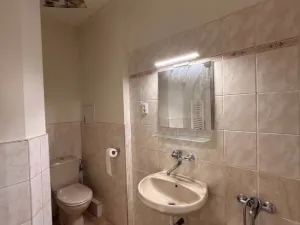 Pronájem bytu 2+1, Opava - Předměstí, Mánesova, 76 m2