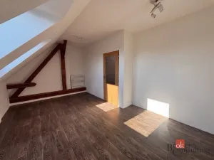 Pronájem bytu 2+kk, Opava - Předměstí, Mánesova, 67 m2