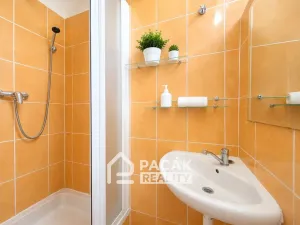 Pronájem bytu 1+kk, Olomouc, Dukelská, 24 m2