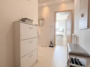 Pronájem bytu 1+kk, Olomouc, Peškova, 57 m2