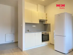 Pronájem bytu 1+kk, Slaný, Wilsonova, 38 m2