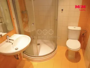 Pronájem bytu 2+kk, Rakovník - Rakovník II, Ottova, 35 m2