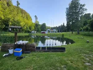 Prodej pozemku pro bydlení, Zábřeh - Dolní Bušínov, 4122 m2
