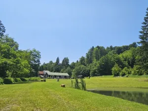 Prodej pozemku pro bydlení, Zábřeh - Dolní Bušínov, 4122 m2