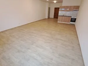 Pronájem bytu 1+kk, Olomouc, U cukrovaru, 50 m2
