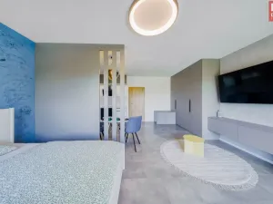 Prodej bytu 1+kk, Olomouc, Aloise Rašína, 40 m2