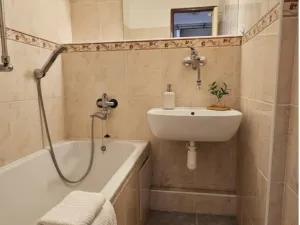 Prodej bytu 2+1, Ostrava - Poruba, Spojů, 60 m2
