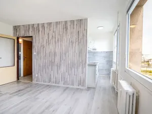 Pronájem bytu 1+kk, Mladá Boleslav, Zalužanská, 25 m2