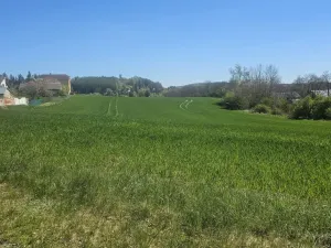 Prodej pozemku pro bydlení, Nové Strašecí, Nádražní, 12266 m2