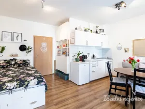Pronájem bytu 1+kk, Praha - Hostivař, Vladycká, 28 m2