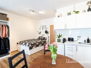 Pronájem bytu 1+kk, Praha - Hostivař, Vladycká, 28 m2