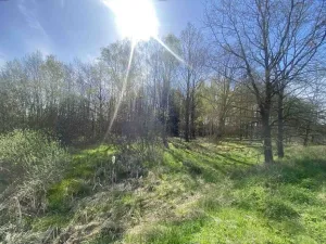 Prodej pozemku, Hranice, 2086 m2