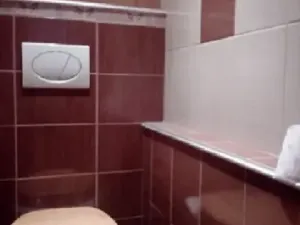 Pronájem bytu 2+1, Frýdek-Místek, J. E. Purkyně, 52 m2