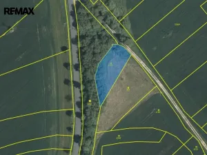 Prodej pole, Rožmitál pod Třemšínem, 1202 m2